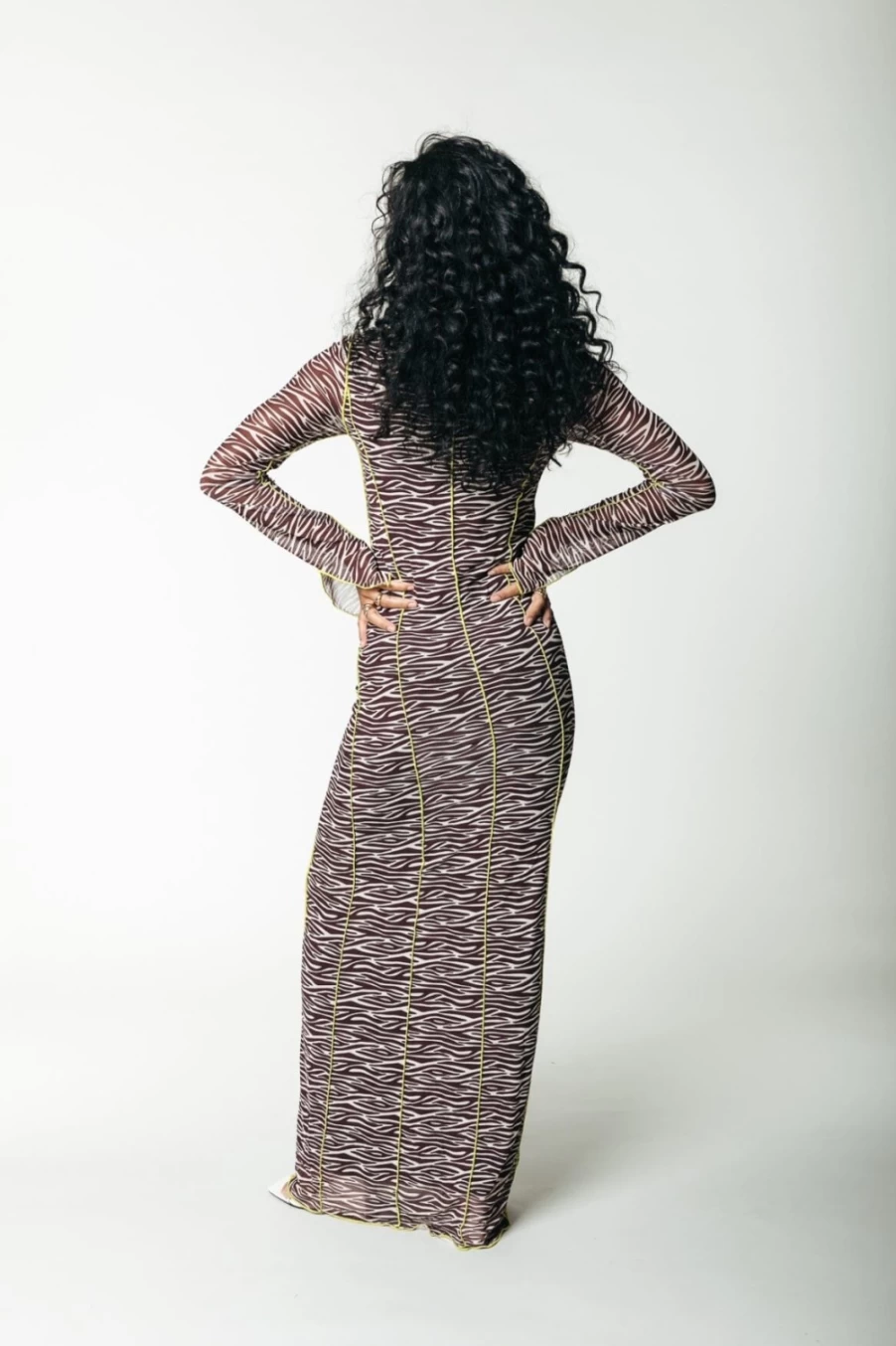 Colourful Rebel Women's Zebra Mesh Dress in Dark Brown | Animal Print Party Dress