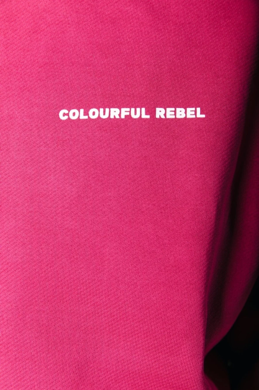 Colourful Rebel Men's Burgundy Uni Logo Relaxed Hoodie | Casual Pullover Sweatshirt